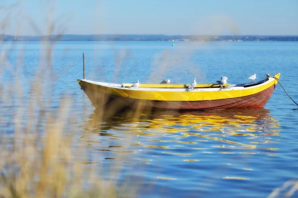 Łódź pusta z seagulls — Zdjęcie stockowe