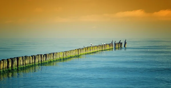 Hermoso mar Báltico —  Fotos de Stock