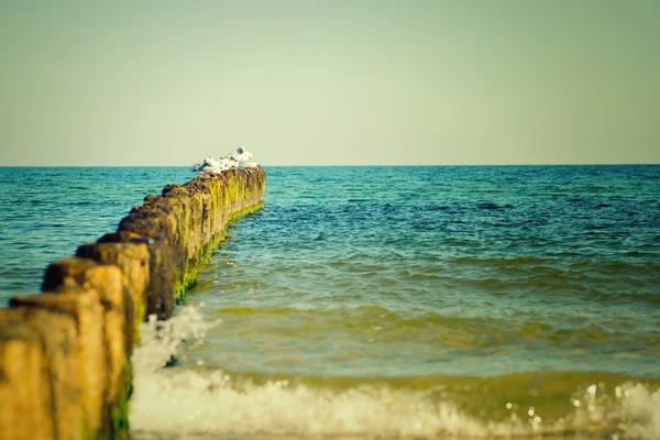 Hermoso mar Báltico —  Fotos de Stock