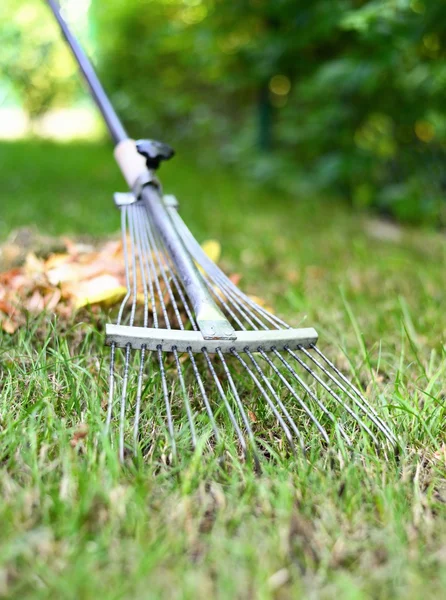 Autumn raking leaves. — Stock Photo, Image