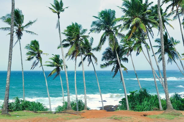 Spiaggia sullo Sri Lanka . — Foto Stock