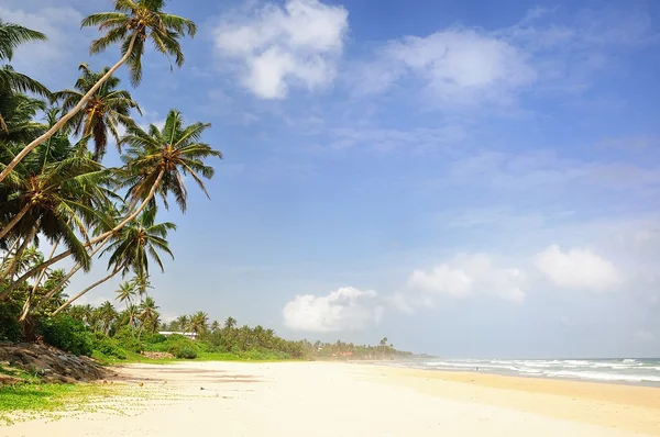 Spiaggia sullo Sri Lanka . — Foto Stock