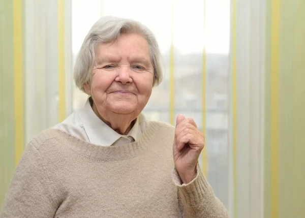 Senior happy woman in her home — Stock Photo, Image