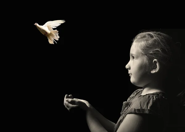 A menina que liberta uma pomba branca de mãos — Fotografia de Stock