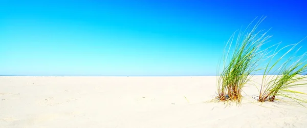 Vackra lugna stranden vid Östersjön. — Stockfoto