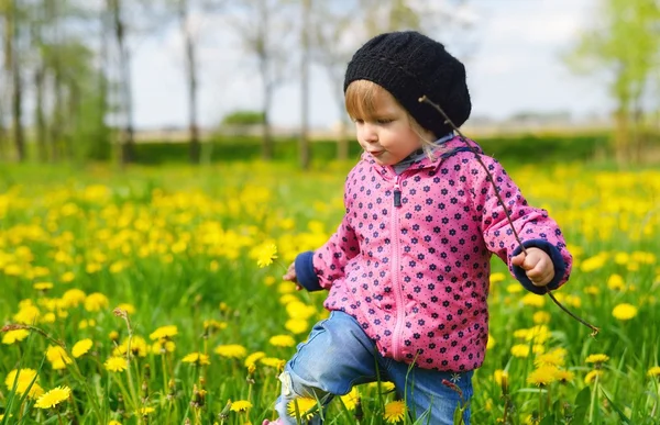 Young girl on meadow with flowers — Stok fotoğraf