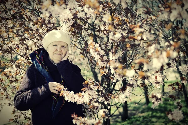 Mulher sênior no jardim — Fotografia de Stock