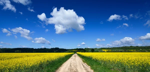 Vista sul paesaggio rurale — Foto Stock