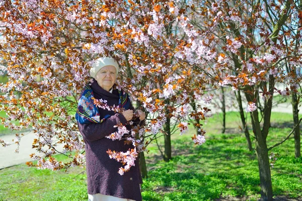 Donna anziana in giardino — Foto Stock