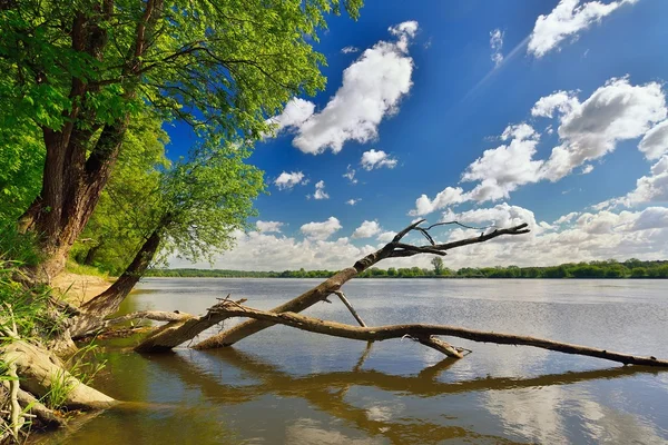 Wildes Ufer des Flusses — Stockfoto