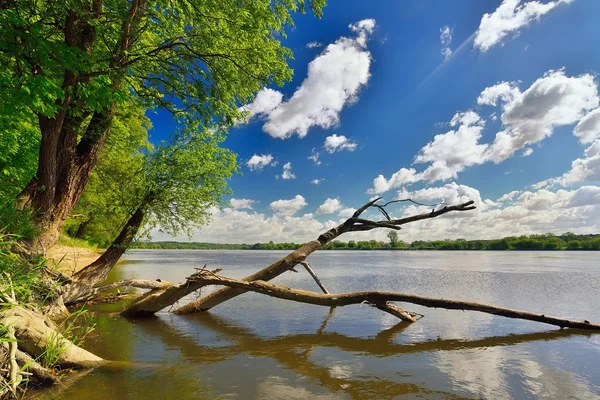 Wild bank of the river — ストック写真