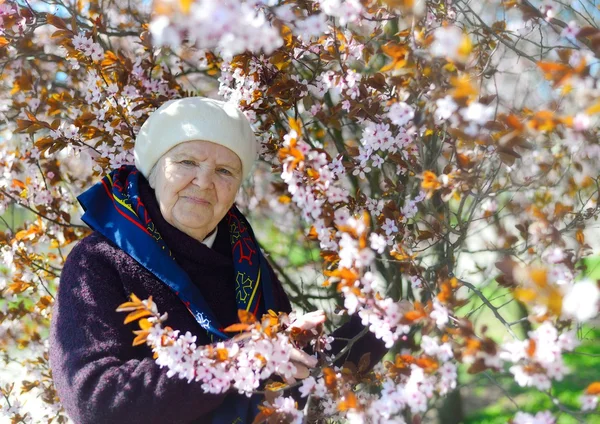 Senior happy woman in garden — Stock Fotó