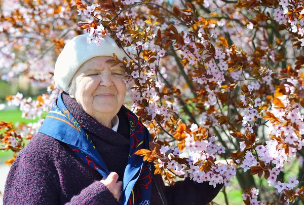 Senior mujer feliz en el jardín —  Fotos de Stock