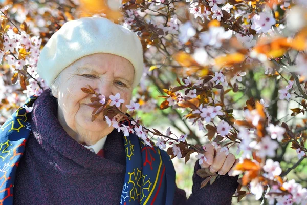 Idős nő a kertben — Stock Fotó