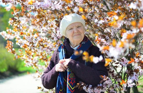 Senior happy woman in garden — ストック写真