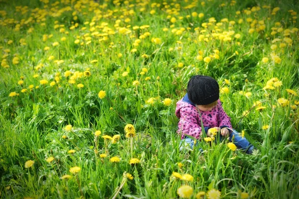 Chica joven en el prado con flores — Foto de Stock