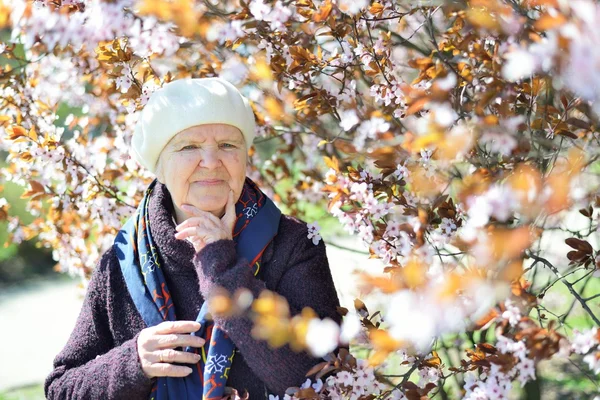 Senior happy woman in garden — Stock Fotó