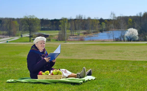 Seniorin liest im Park ein Buch Stockbild