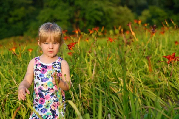 Bambina sul prato — Foto Stock