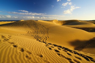 Maspalomas plaj. Gran Canaria.