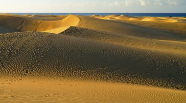 Maspalomas plaj. Gran Canaria.