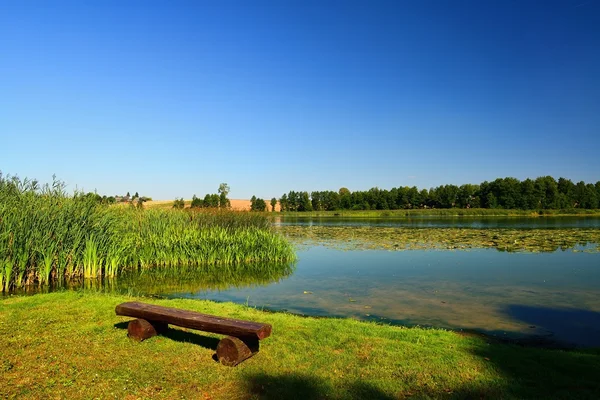 Lago con foresta sulla costa . — Foto Stock