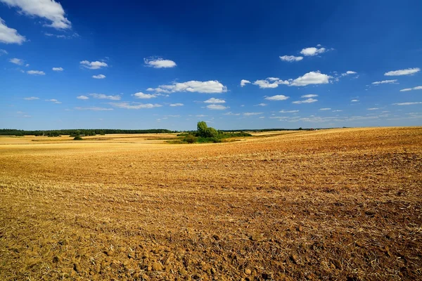 Beautiful Country landscape. — Stock Photo, Image