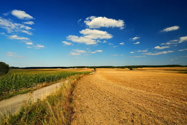 Beautiful Country landscape. — Stock Photo, Image