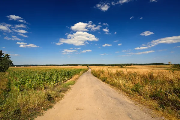 Rural road in countryside — Stock Photo, Image