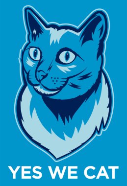 Evet Poster kedi.