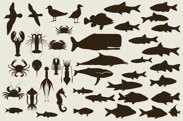 Conjunto de animales marinos. vector — Vector de stock