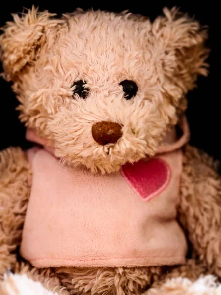Дитяча Яка Іграшка Ведмідь Блузці — стокове фото