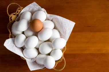 Birçok beyaz olanlar arasında tek kahverengi yumurta