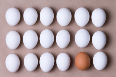 Rows of fresh white eggs with one brown one clipart