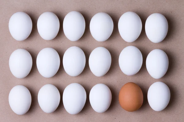 Rows of fresh white eggs with one brown one — Stock Photo, Image