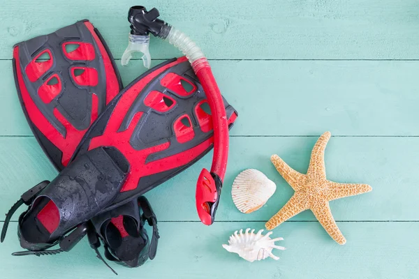 Pair of red and black flippers with seashells