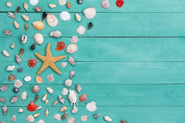 Estrella de mar y conchas de mar surtidos en madera manchada — Foto de Stock