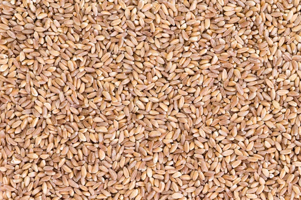 Background texture of pearled farro wheat — Stock Photo, Image