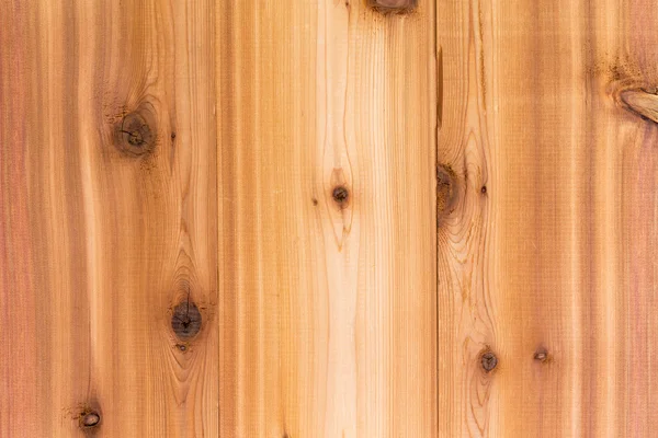 Cedar wood background texture with boards — Stock Photo, Image