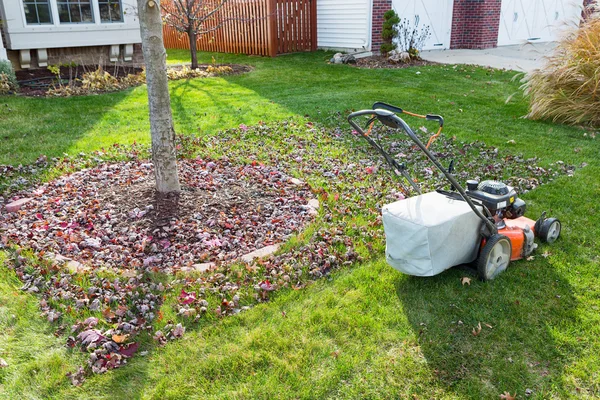 Grass bagging in fall in the neighbourhood — Stock Photo, Image