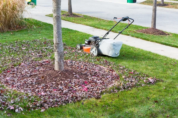 Neatening upp gräsmattan i höst eller falla — Stockfoto