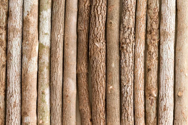 Achtergrondstructuur van natuurlijke houten potlood kleurpotloden — Stockfoto