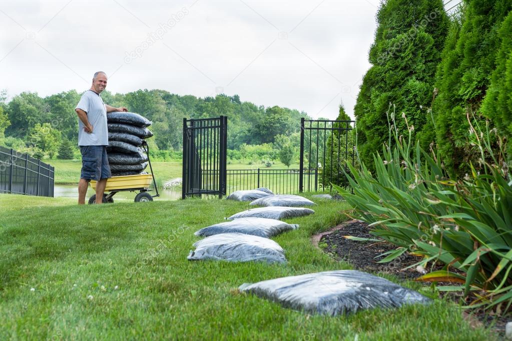 Middle Age Man Mulching his House Backyard