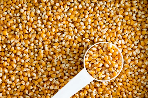 Granos de maíz secos textura de fondo — Foto de Stock