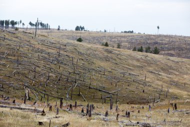 Decimated deforested hillside slopes clipart