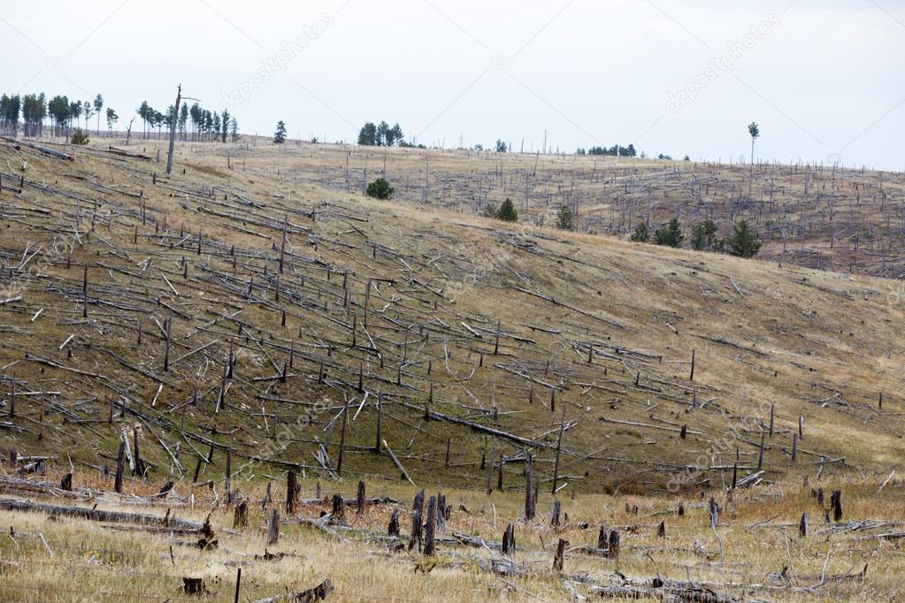Decimated deforested hillside slopes