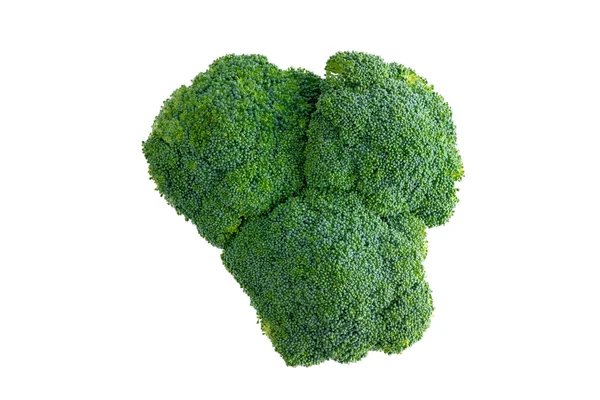 Head of farm fresh healthy green broccoli — Stock Photo, Image