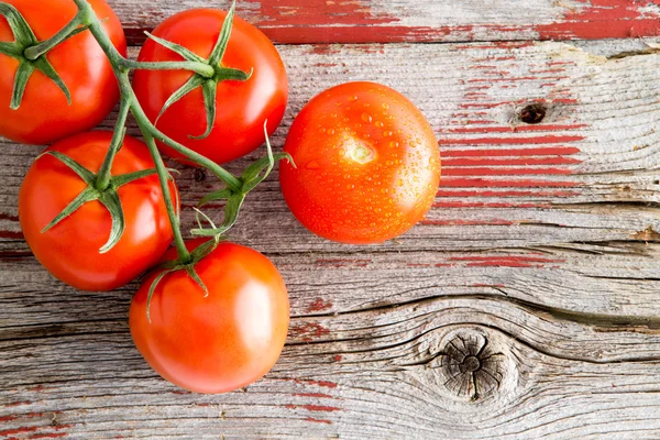 Tomates fraîches mûres sur la vigne sur une étagère du marché — Photo