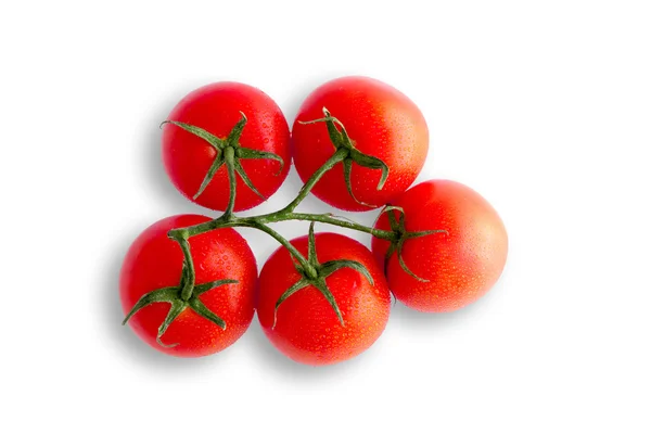 Organic tomatoes on the vine — Stock Photo, Image