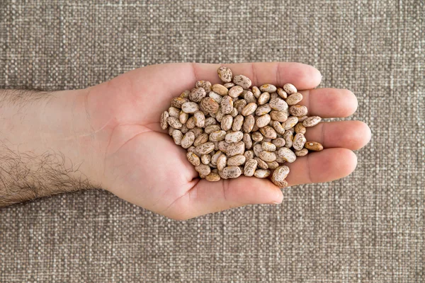 Man holding a handful of dried pinto beans — Stock Photo, Image